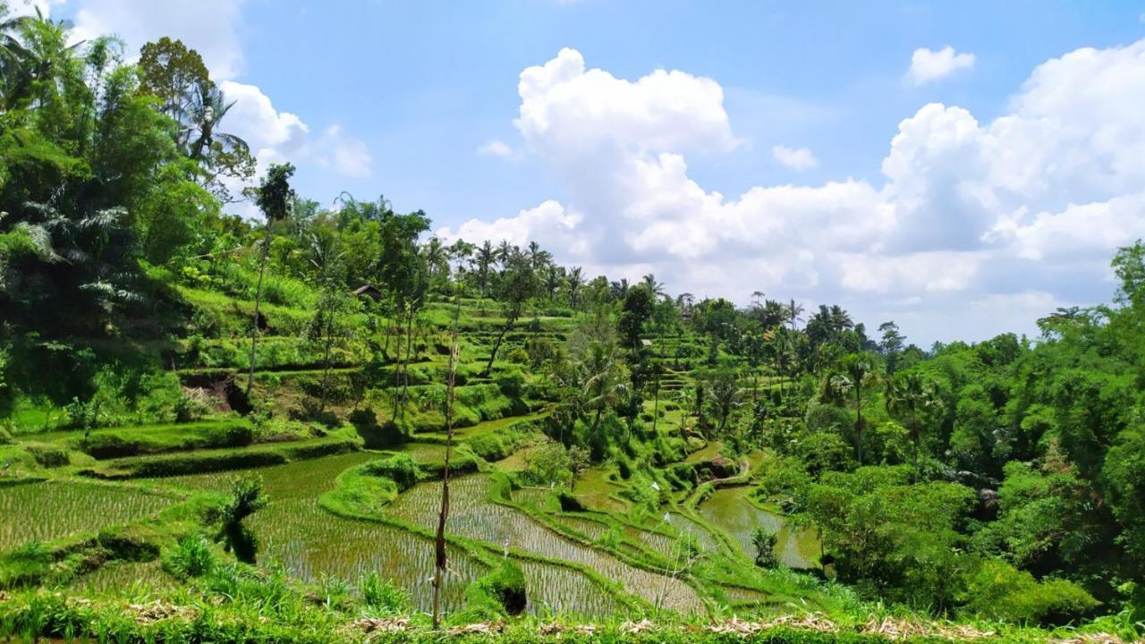טטבאטו Bunga Maliq Bungalow Lombok מראה חיצוני תמונה