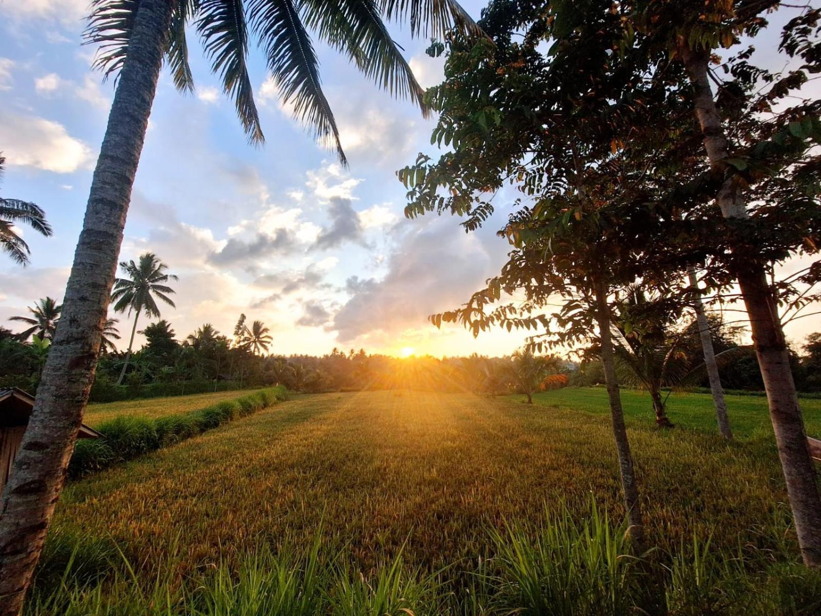 טטבאטו Bunga Maliq Bungalow Lombok מראה חיצוני תמונה