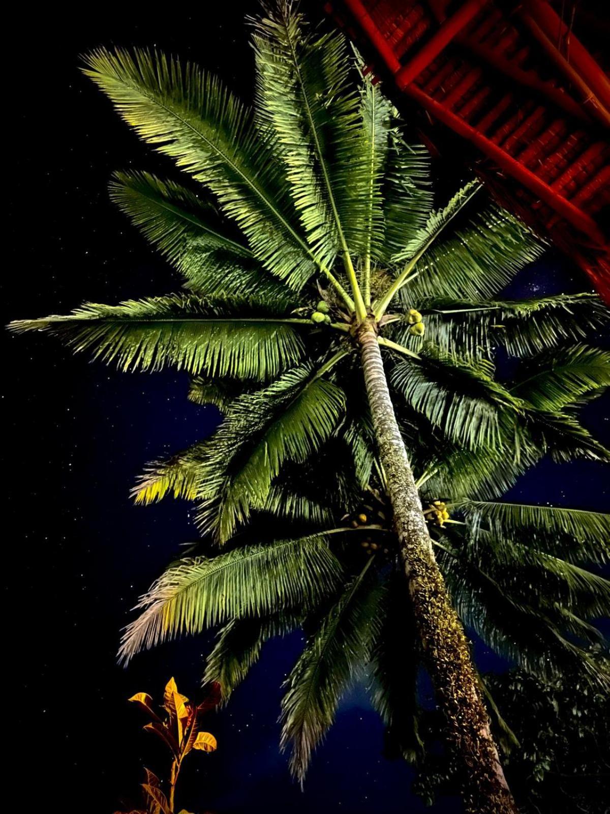 טטבאטו Bunga Maliq Bungalow Lombok מראה חיצוני תמונה
