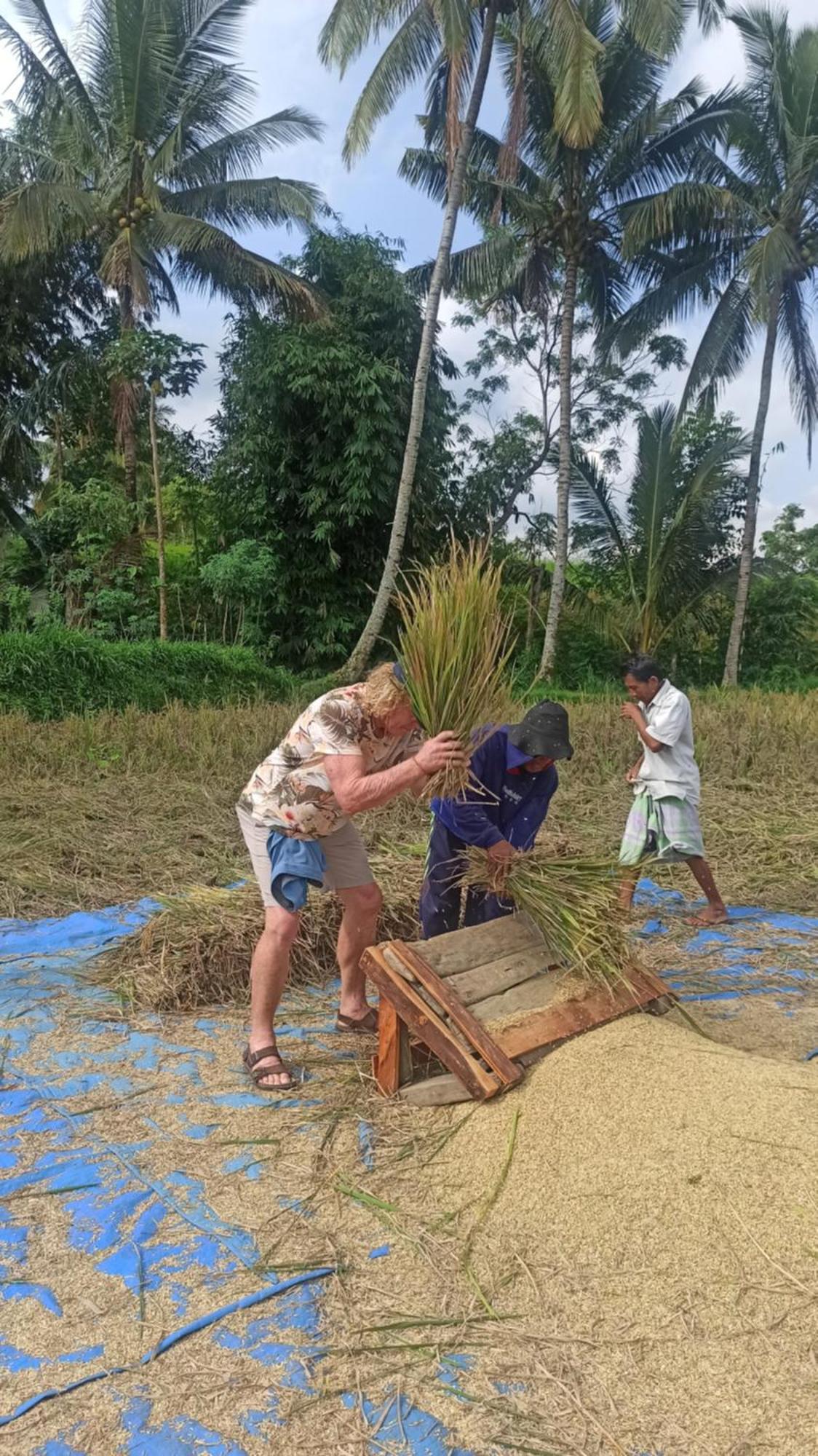 טטבאטו Bunga Maliq Bungalow Lombok מראה חיצוני תמונה
