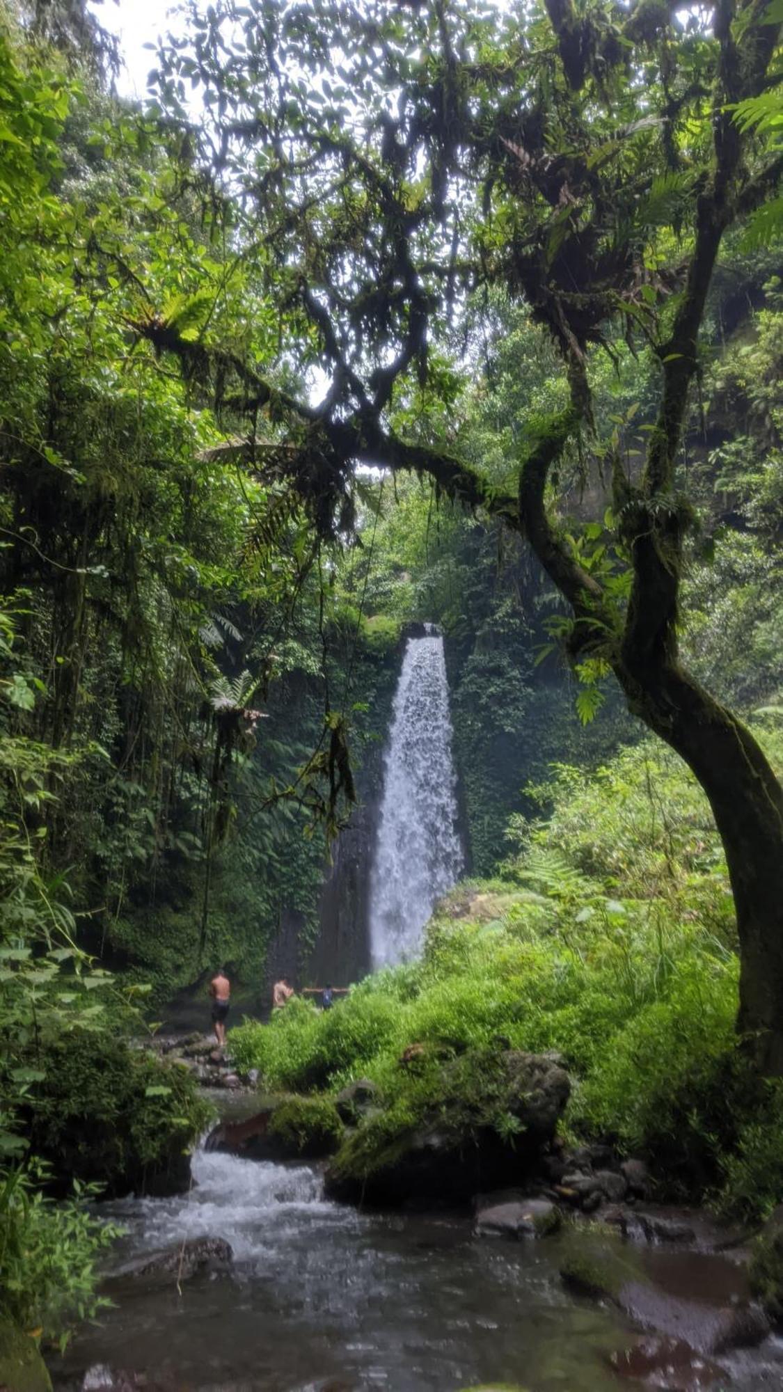 טטבאטו Bunga Maliq Bungalow Lombok מראה חיצוני תמונה