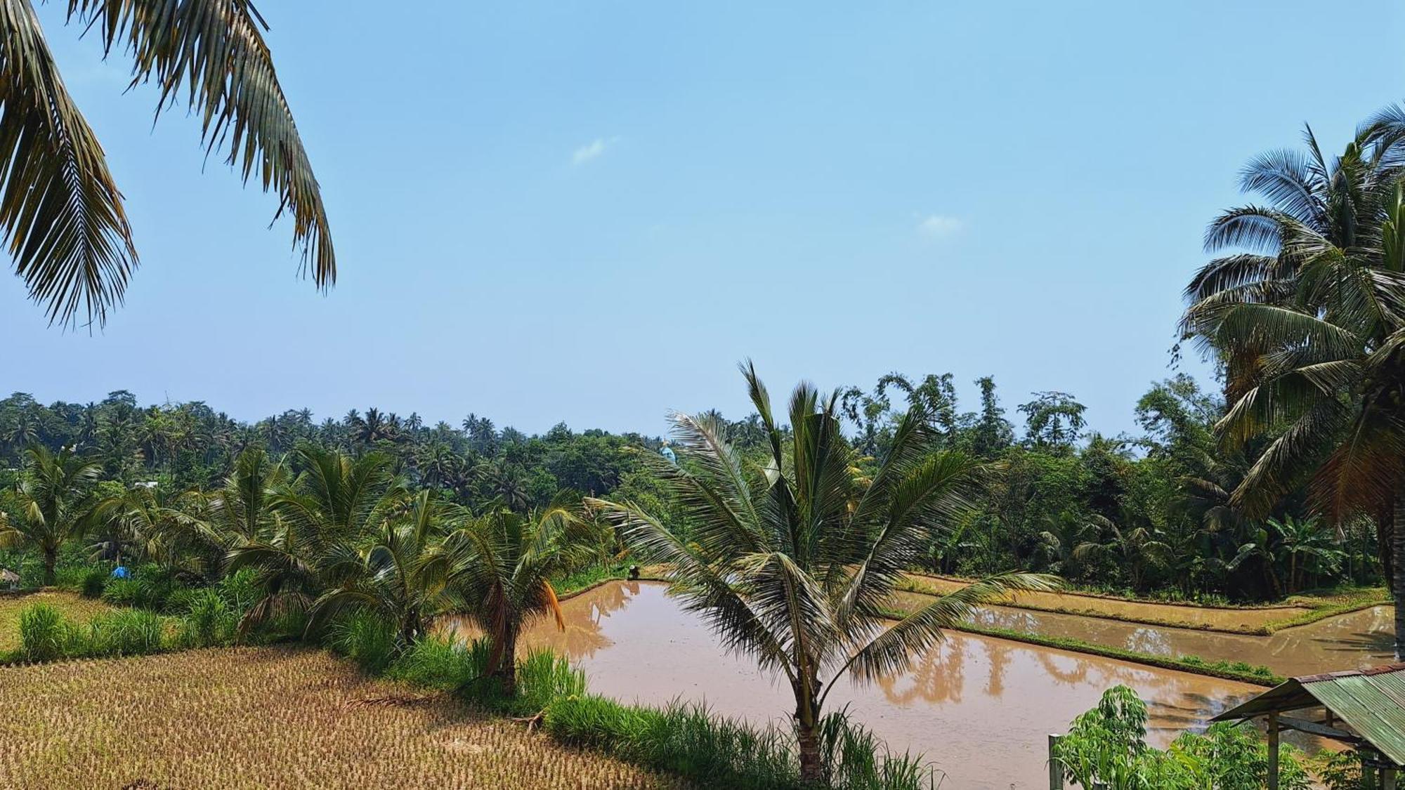טטבאטו Bunga Maliq Bungalow Lombok מראה חיצוני תמונה