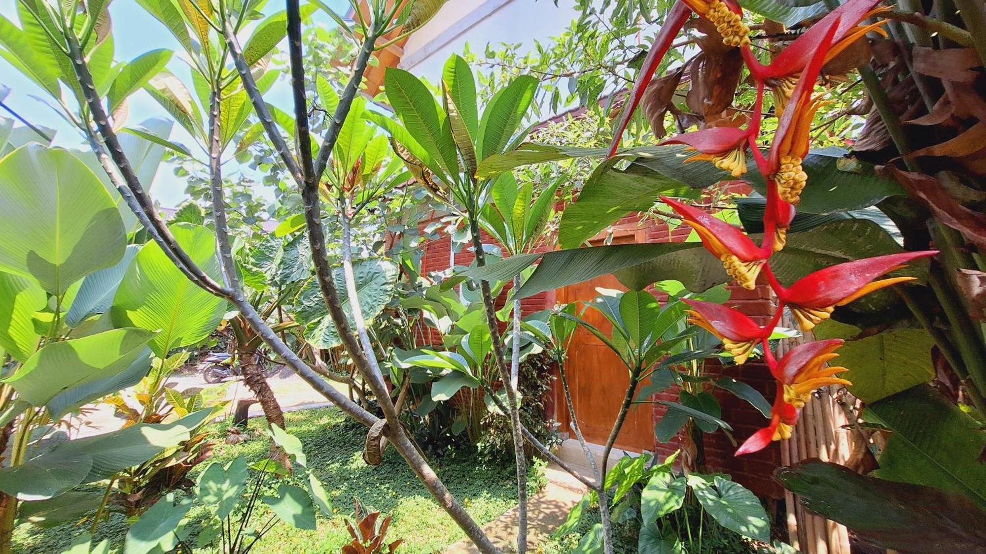 טטבאטו Bunga Maliq Bungalow Lombok חדר תמונה