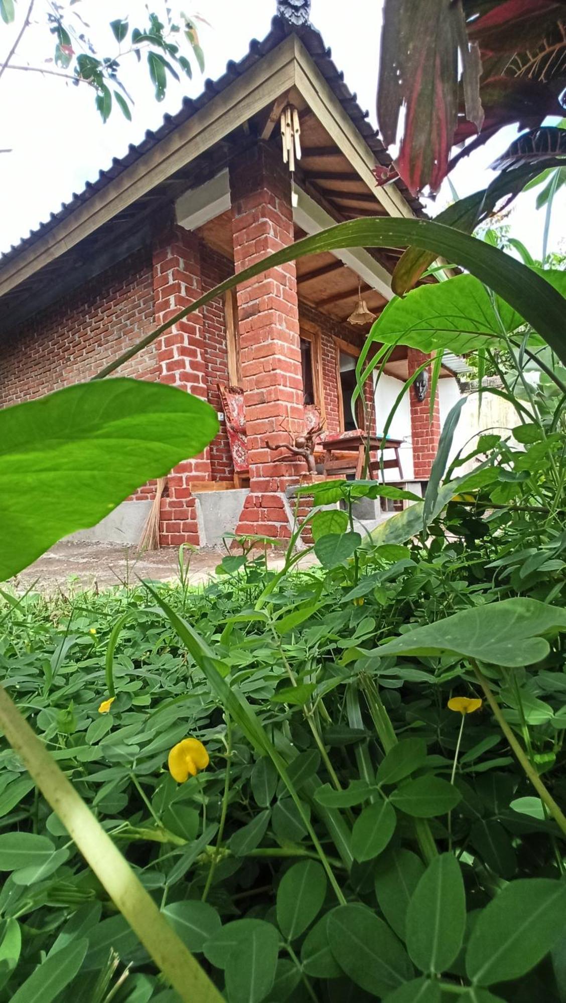 טטבאטו Bunga Maliq Bungalow Lombok מראה חיצוני תמונה