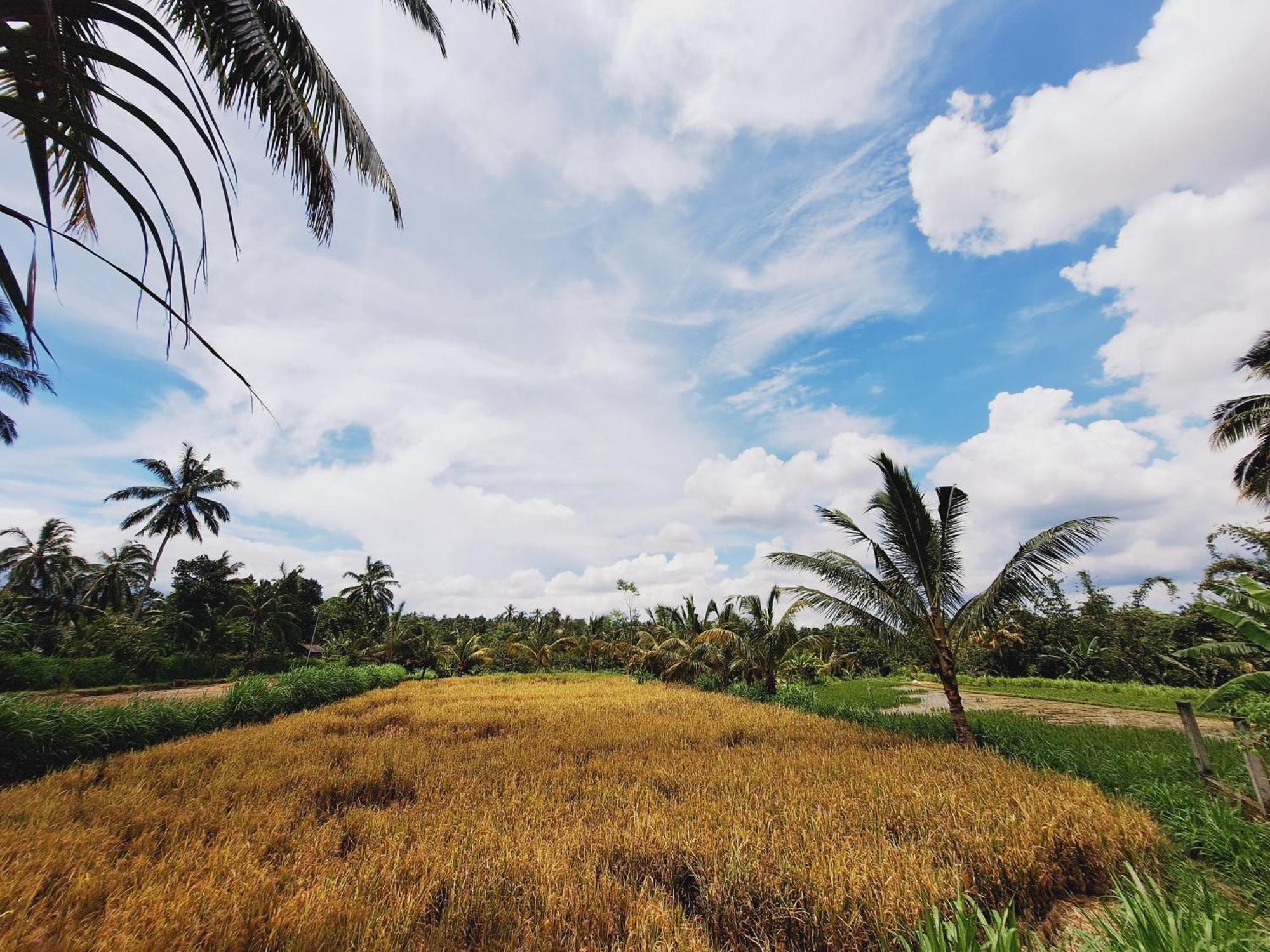 טטבאטו Bunga Maliq Bungalow Lombok מראה חיצוני תמונה